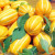 [꿀당도] 명품 성주 꿀참외 3kg 상품 썸네일